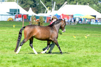 WSP_5656