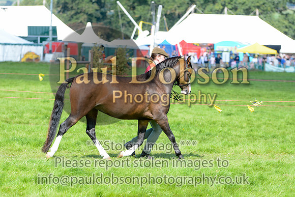 WSP_5656