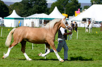 WSP_5657