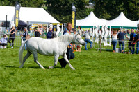 WSP_5669