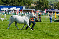 WSP_5671