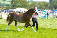 WSP_5675