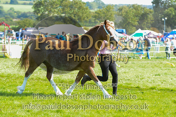 WSP_5675
