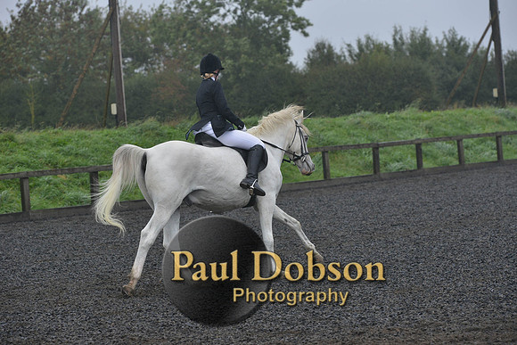 dressage-6500