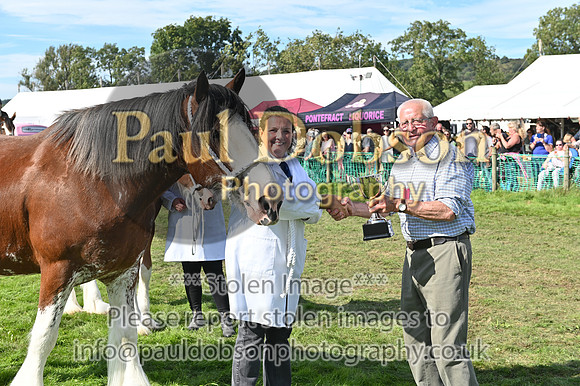 GPA_4231