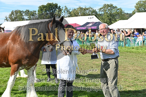 GPA_4234