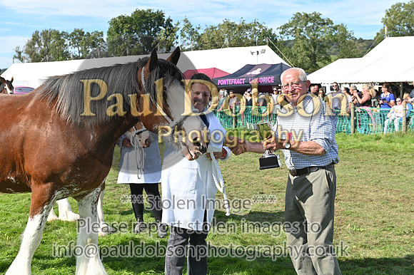 GPA_4233