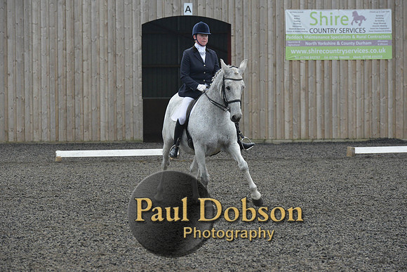dressage-5738