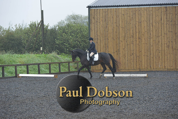 dressage-6596