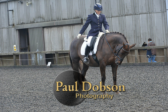 dressage-6899