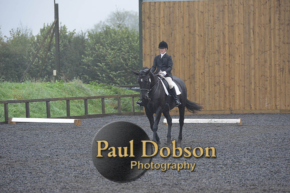dressage-6576