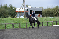 dressage-5890