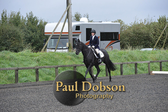dressage-5890