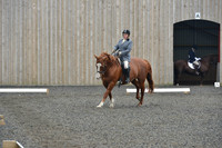 dressage-5414