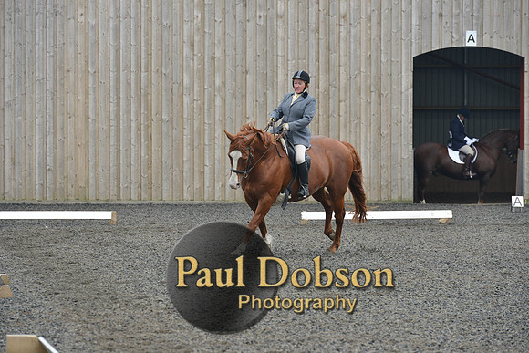 dressage-5414