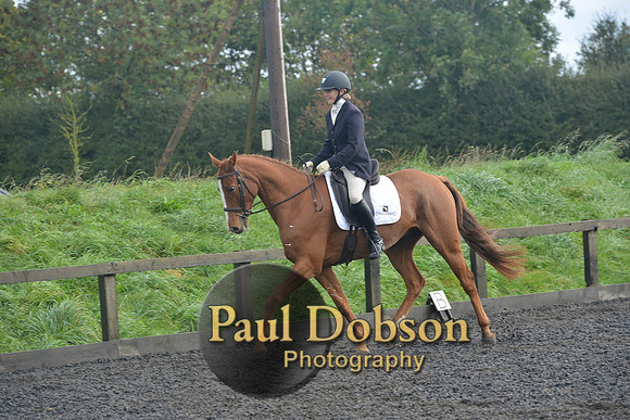 dressage-6786