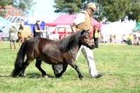 c34_1902-2