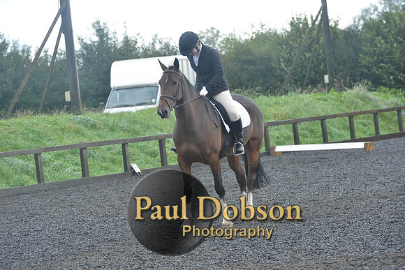 dressage-6769