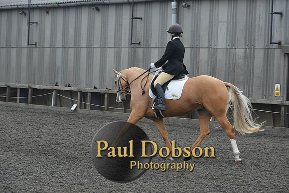 dressage-5757