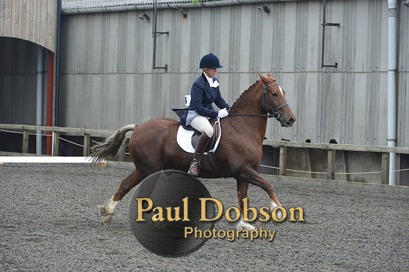 dressage-5441