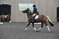 dressage-5701