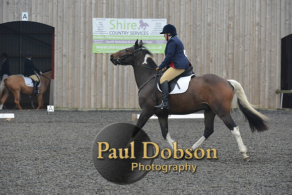 dressage-5701