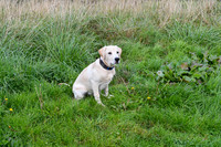 PAW_6738