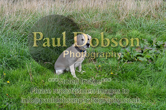 PAW_6738