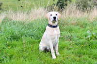 PAW_6739