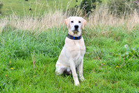 PAW_6741