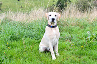 PAW_6742