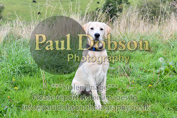 PAW_6742