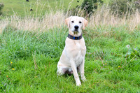 PAW_6743