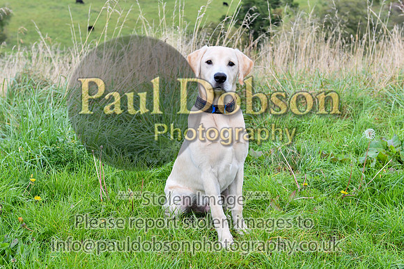 PAW_6744