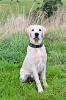 PAW_6745