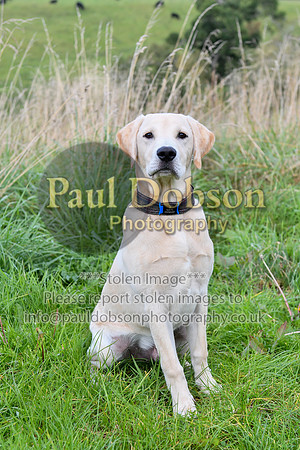 PAW_6745