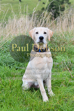 PAW_6746