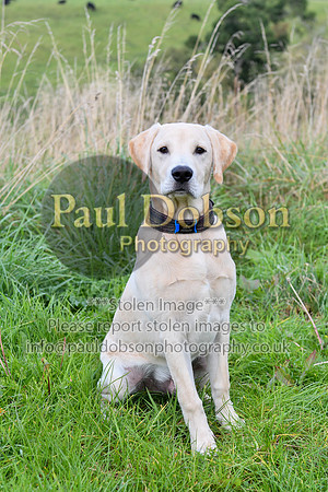 PAW_6747