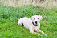 PAW_6748