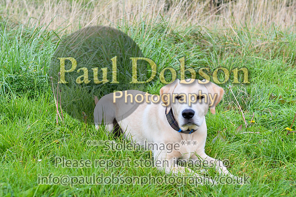 PAW_6748