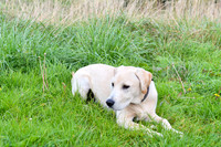 PAW_6749