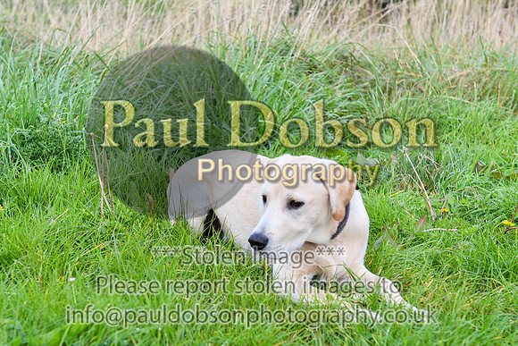 PAW_6749