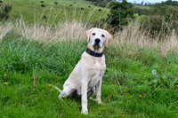 PAW_6752