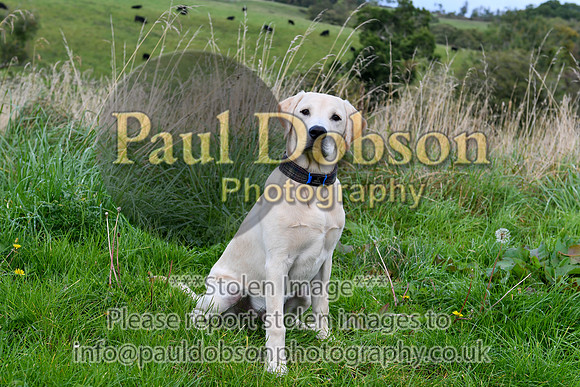 PAW_6752
