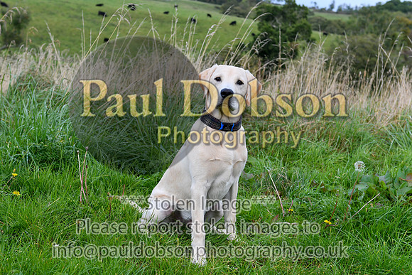 PAW_6753