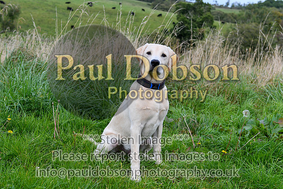 PAW_6754