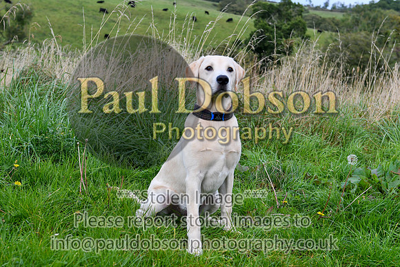 PAW_6755