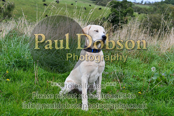 PAW_6756