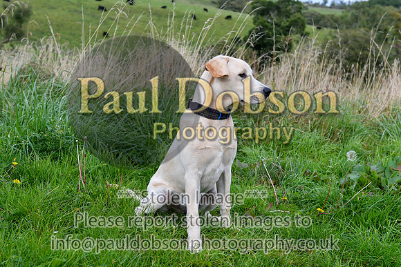 PAW_6757