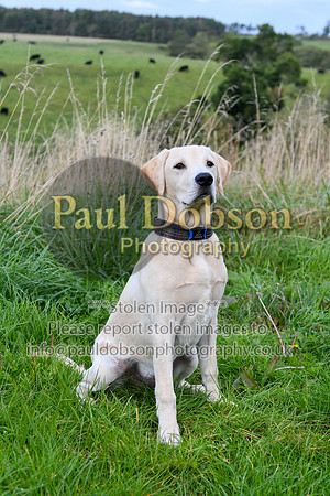 PAW_6758